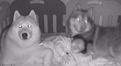 再び寝ころぶ赤ちゃん