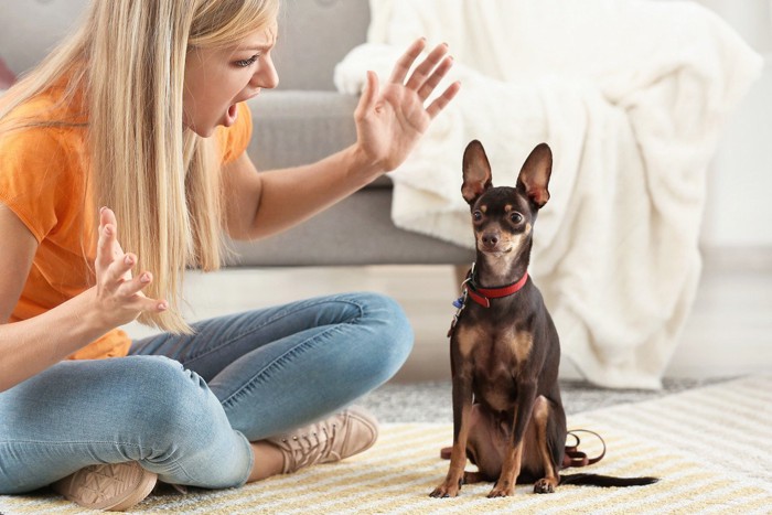 飼い主と犬