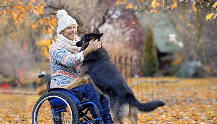 介助犬