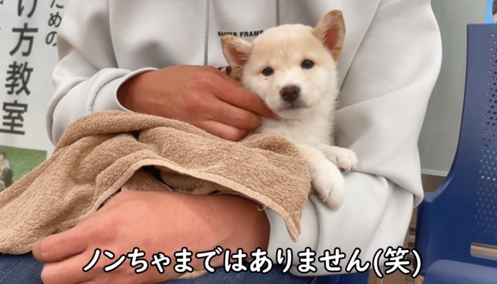 ホームセンターの子犬を抱っこ