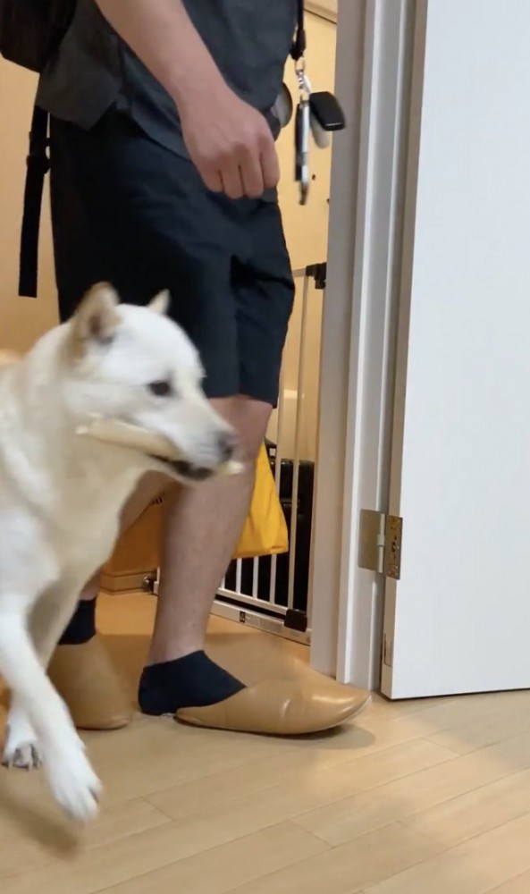 「さぁ遊びましょう！」