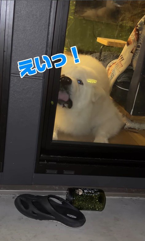 もちろん仕留められません…