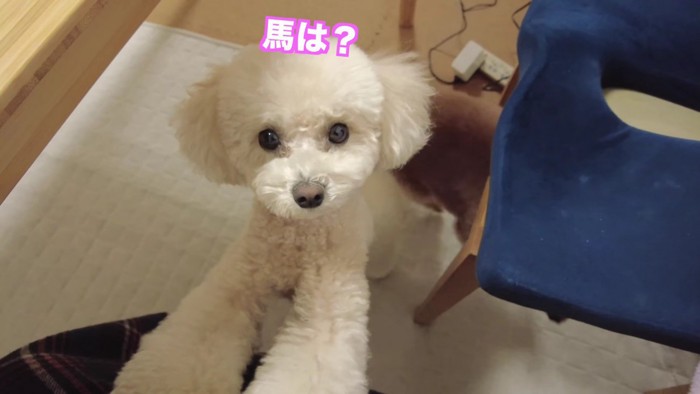 三桜ちゃんはソワソワ