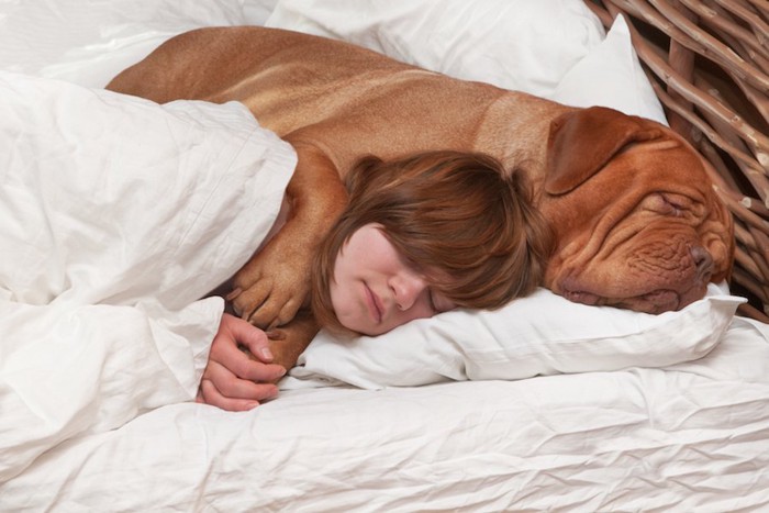 一緒のベッドで犬にハグされて眠る子供