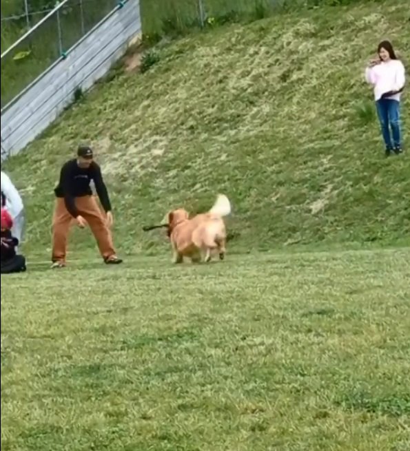 パパの元へ走るもっちゃん