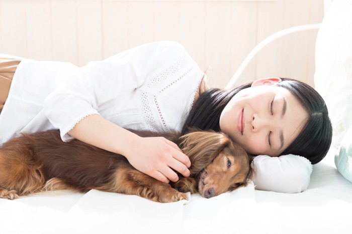 飼い主と一緒に寝る犬