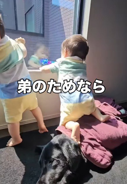 「これで外見れるね」