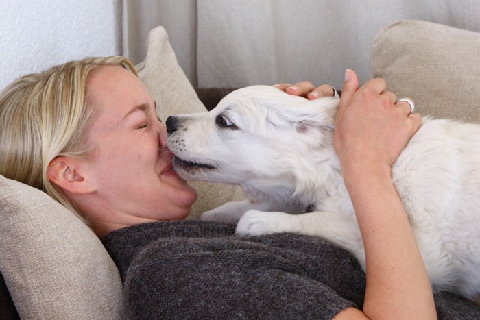 女性の顔を舐める犬