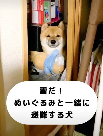 ぬいぐるみと避難!!