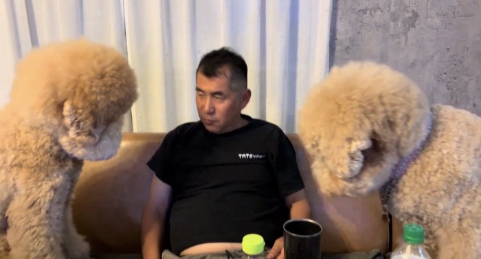 人を覗き込む2頭の犬