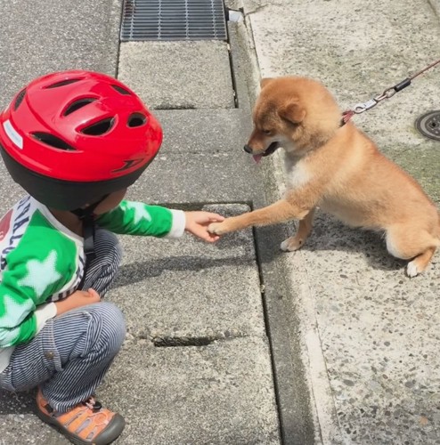 前足をさする息子さん