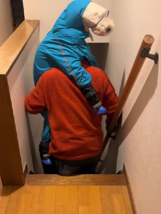 どう見ても人間…!!