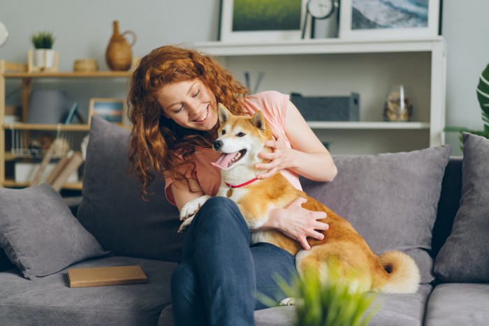 ソファーの上でくつろぐ女性と柴犬