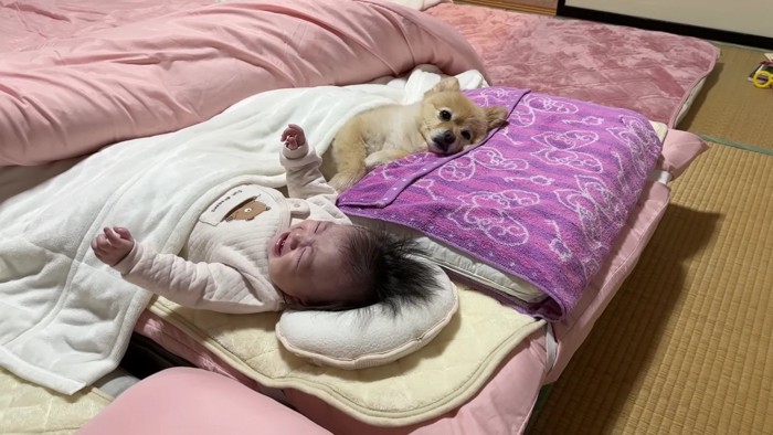 泣いてしまった赤ちゃん