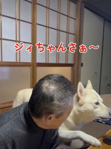 「クゥーンクゥン」