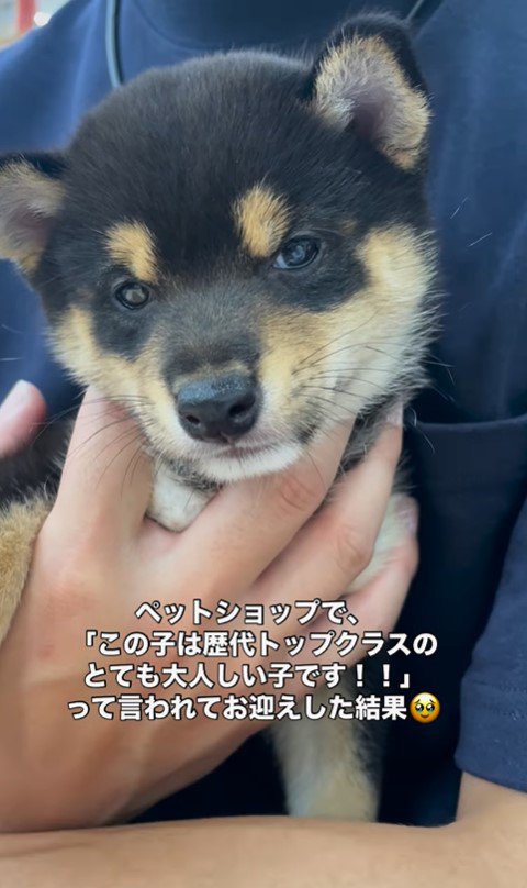 ラムくんの変化2