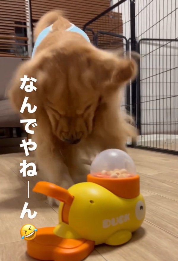 突っ込むママ