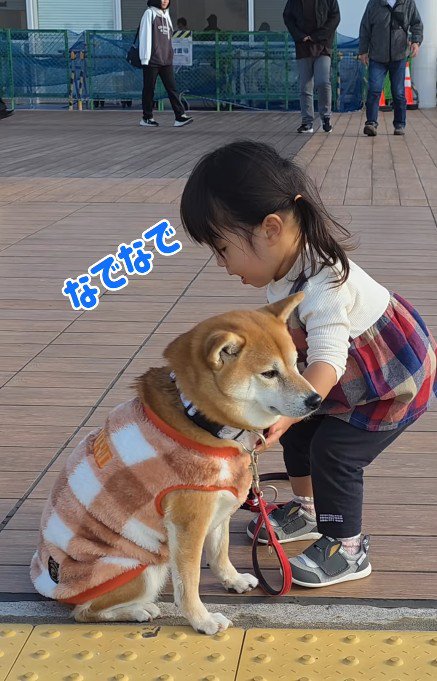 ナデナデも効果なし