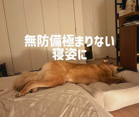 ラッキーくんの変化9