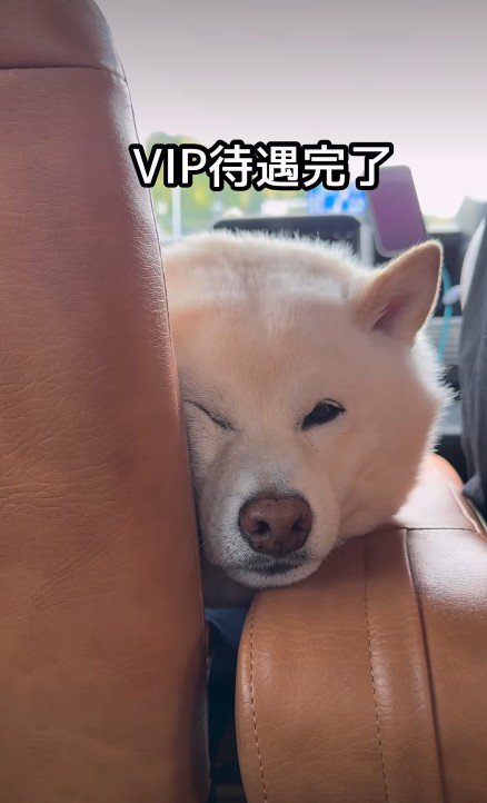 「楽しかったなあ…」