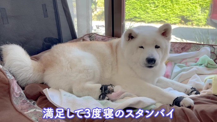 三度目の眠りへ…