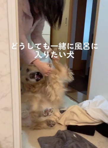 家族の腕から抜け出す犬