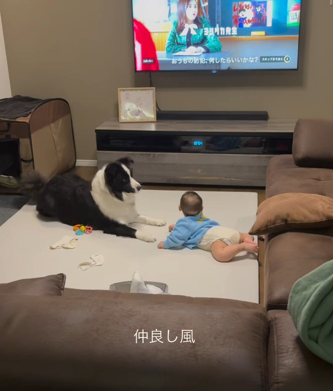 こり男くんと赤ちゃん