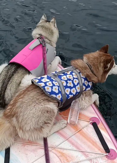 SUPも上手だよ