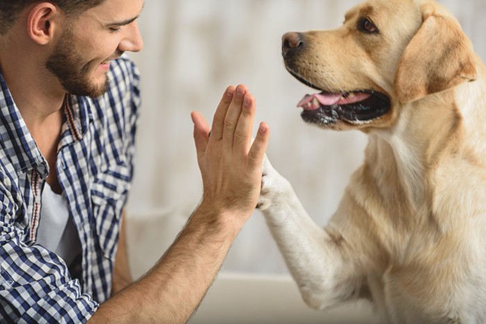 ハイタッチをする犬と飼い主