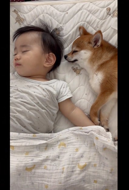 眠るふたり
