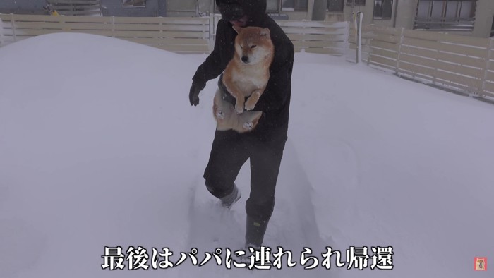 パパに捕獲されてしまった