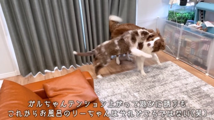 テンションの差が最も開いた瞬間