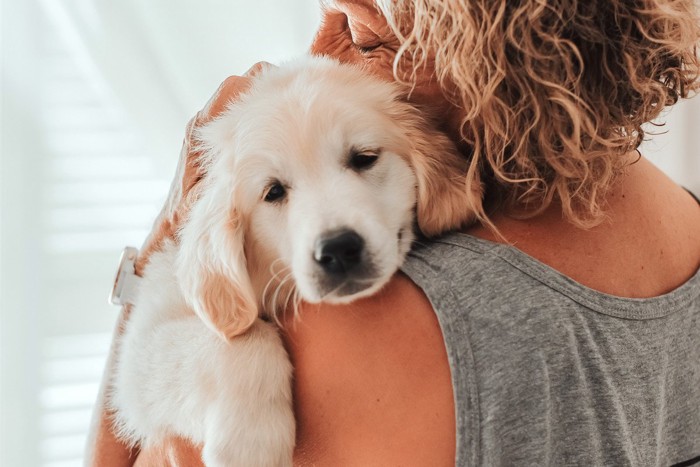 女性に甘える犬