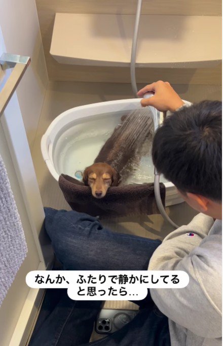 家の中が妙に静か