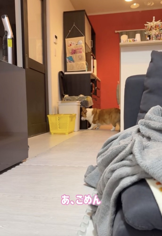 ボールはゴミ箱の隙間へ…