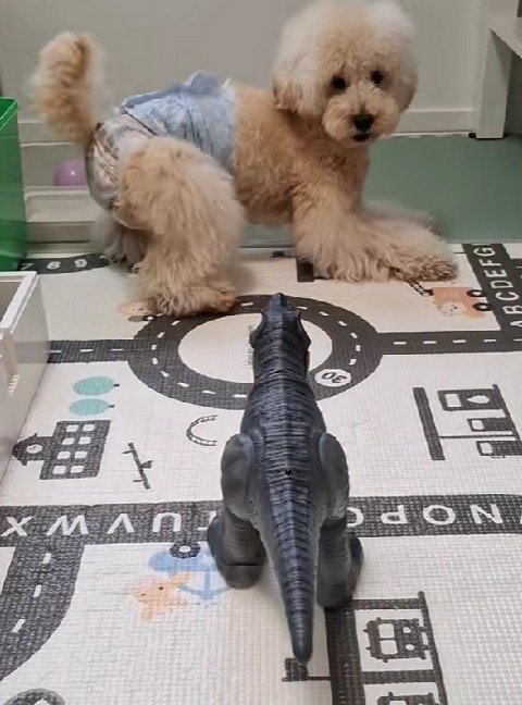 「動かなければ大丈夫かも…」