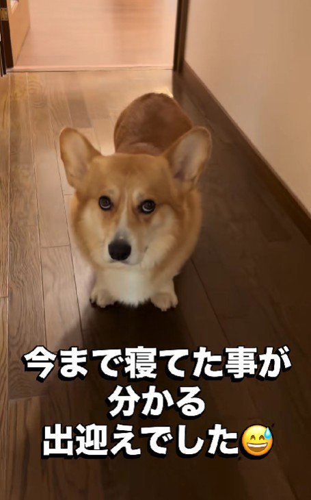 寝起きでご挨拶