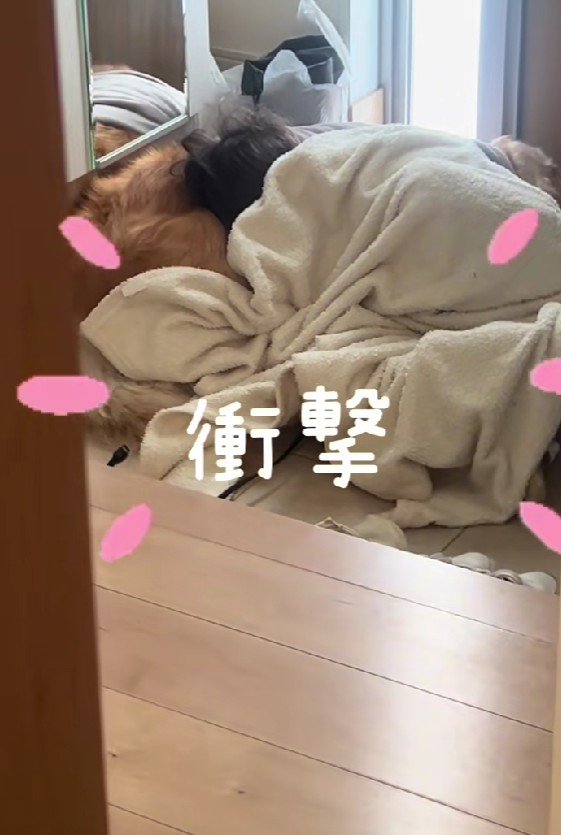 玄関で一緒に寝てる！！