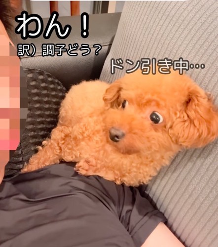 ワン！と声をかける