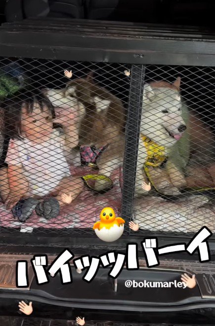 「バイバイ」