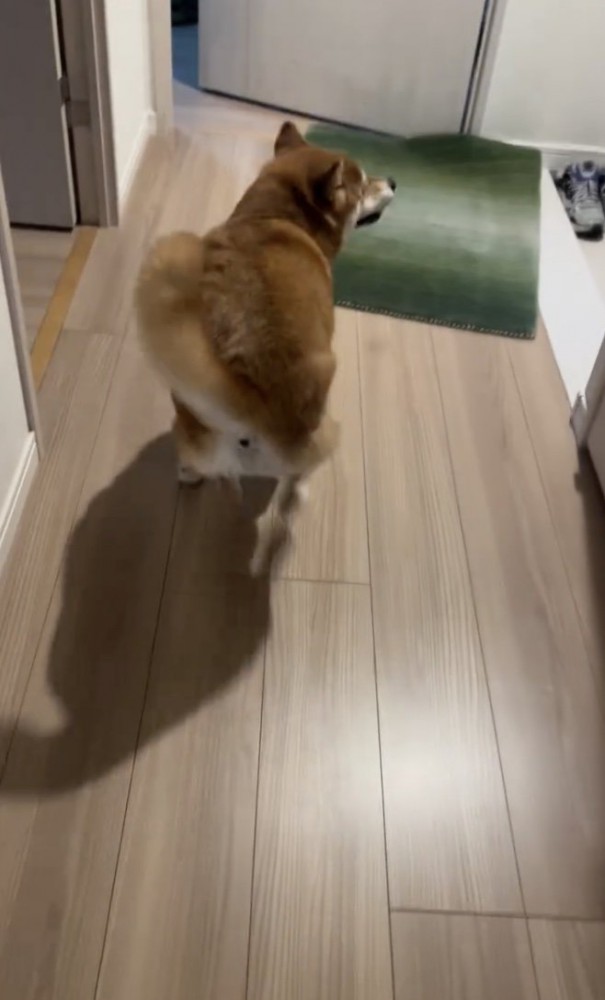 行ったり来たり