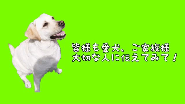 皆様も～字幕