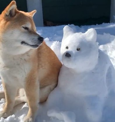 可愛すぎる