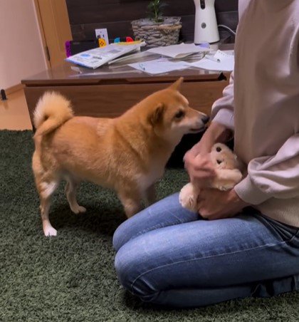 飼い主さんの腕へと口を近付けると…