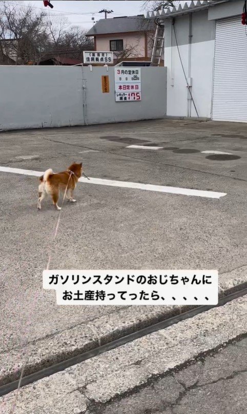 ガソリンスタンドを訪れたハナちゃん