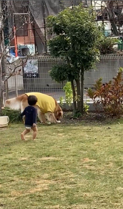 お庭で遊ぶ太郎くんと男の子10