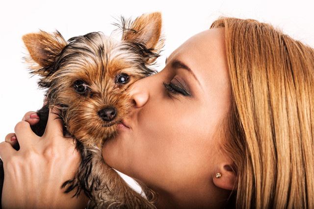 女性にキスされる犬