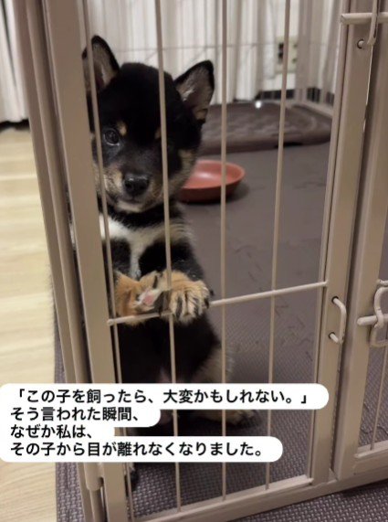 まかおちゃんとの出会い