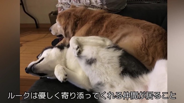 誰かと共に寝る安心感も…