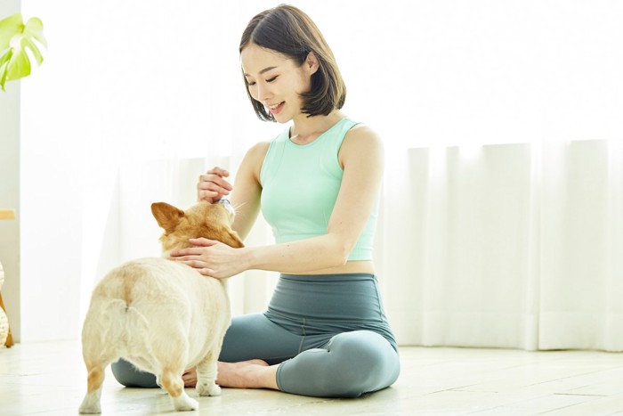 犬を撫でる女性